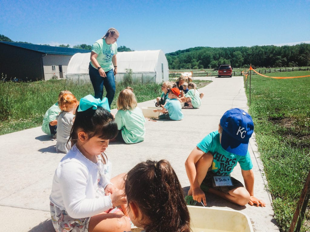 preschool field trips ideas