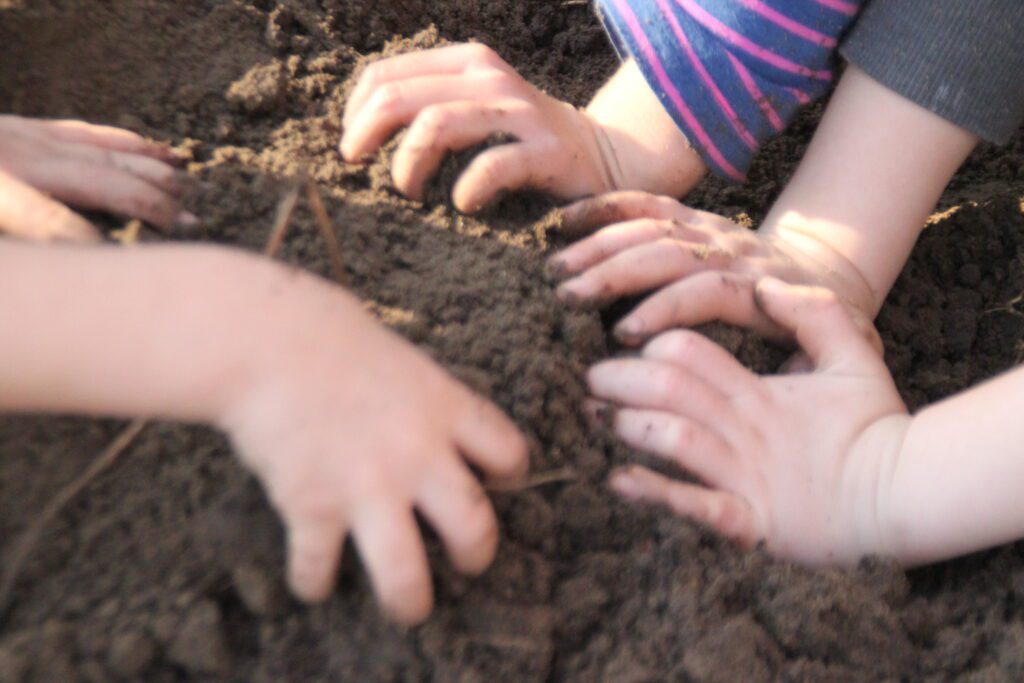 Preschool Tree Planting