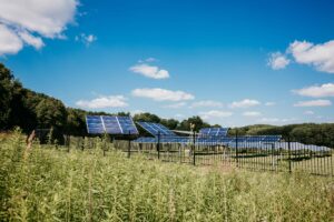 Solar panel field at Amazing Space