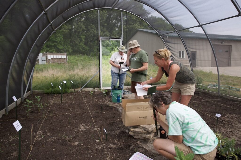 Volunteers replanting the Hoop House