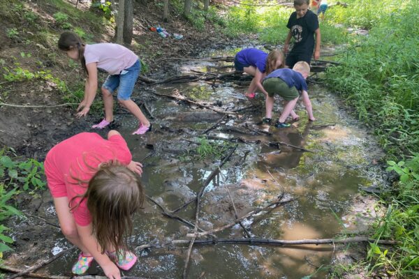 Children at Creek Camp learn skills essential to future success while they play.