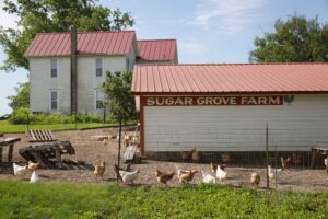 Chicken house at Etzel Sugar Grove Farm