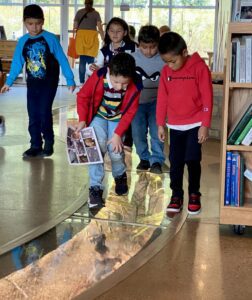 field trip kids viewing creek exhibit 