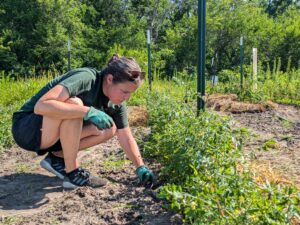 Volunteer in organic permaculture field