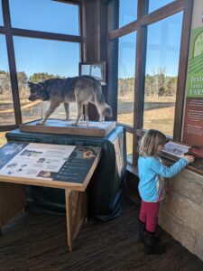 Wolf and Wild Lands Traveling Exhibit