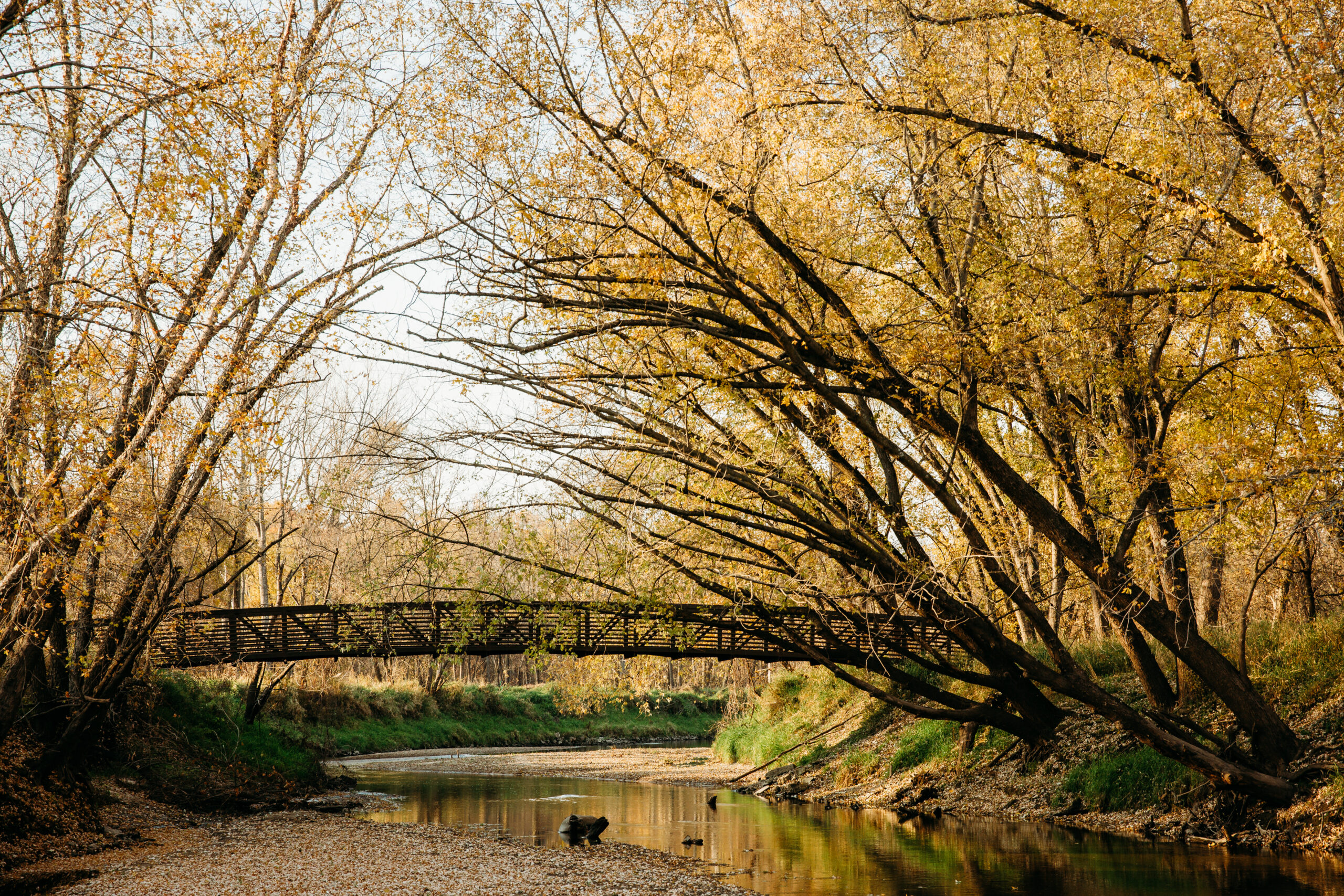 Indian Creek bridge on Sac and Fox Trail