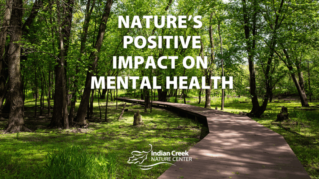 Nature's Positive Impact on Mental Health
