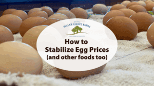 How to Stabilize Egg Prices