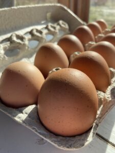 Dozen organic eggs