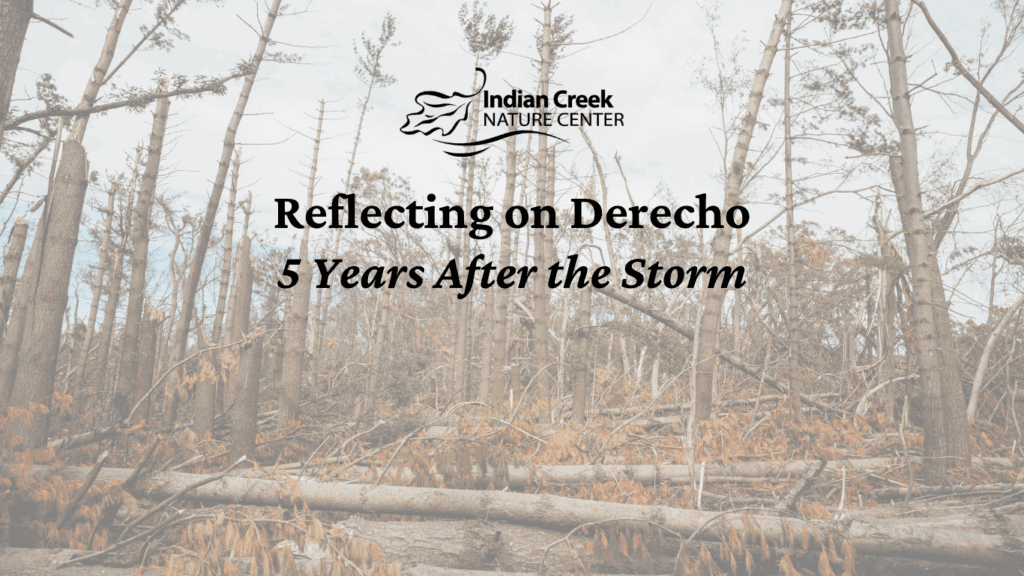 Reflecting on Derecho
