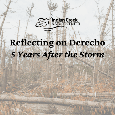Reflecting on Derecho