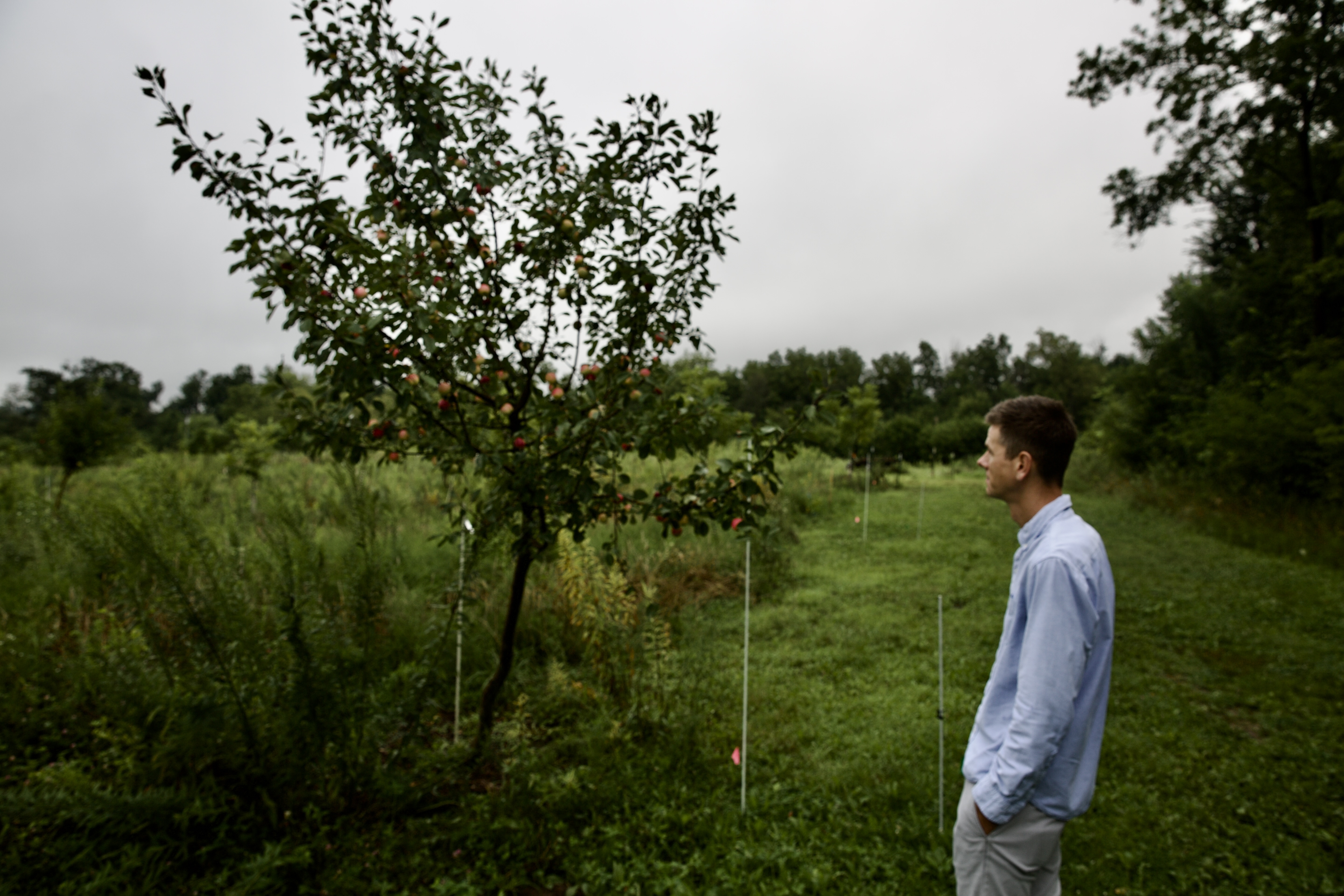 Ben Watson visiting permaculture field