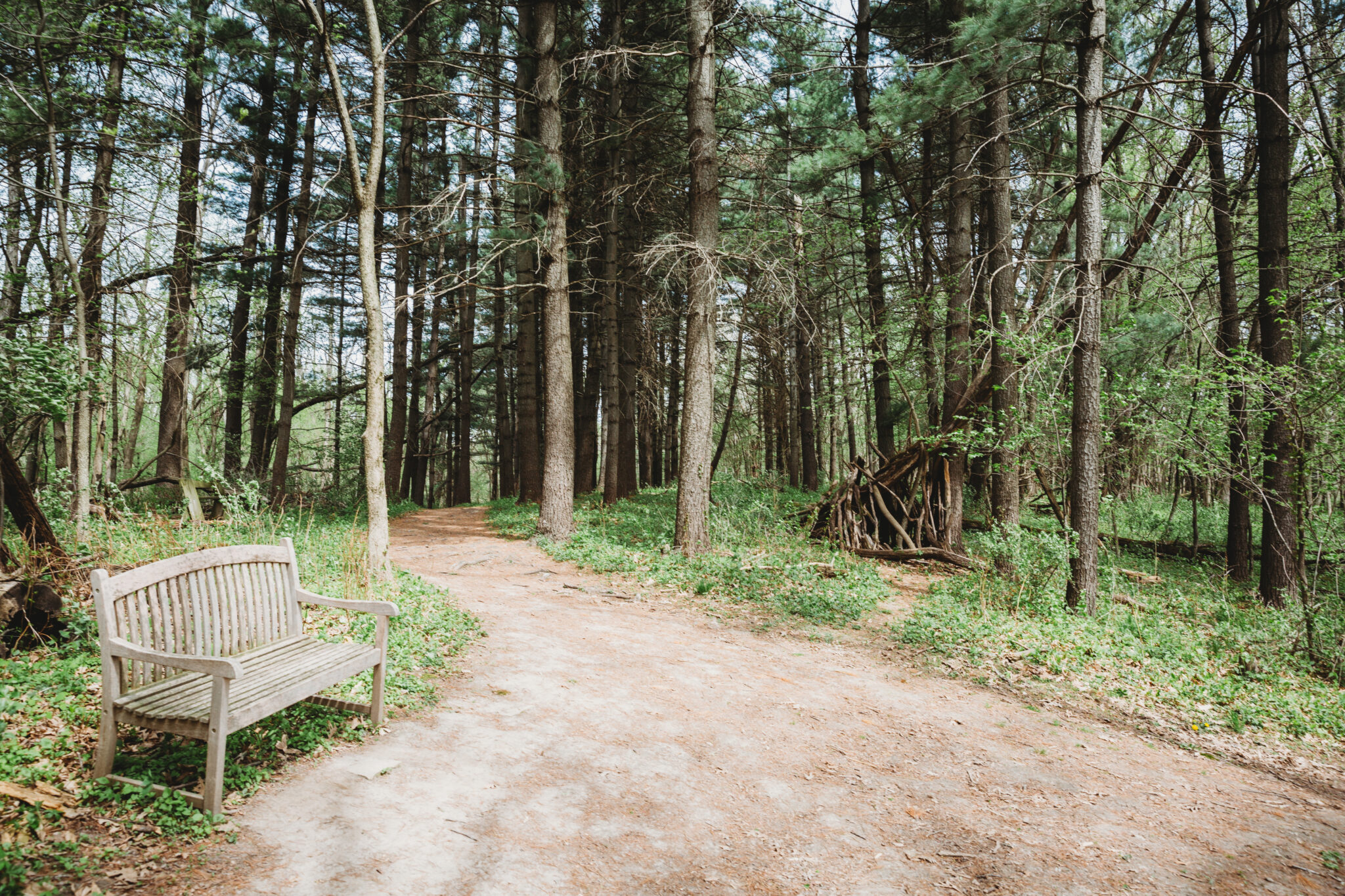Bench on Cedar Overlook Trail