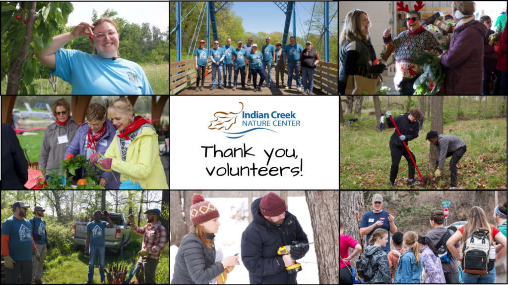 Thank you volunteers!