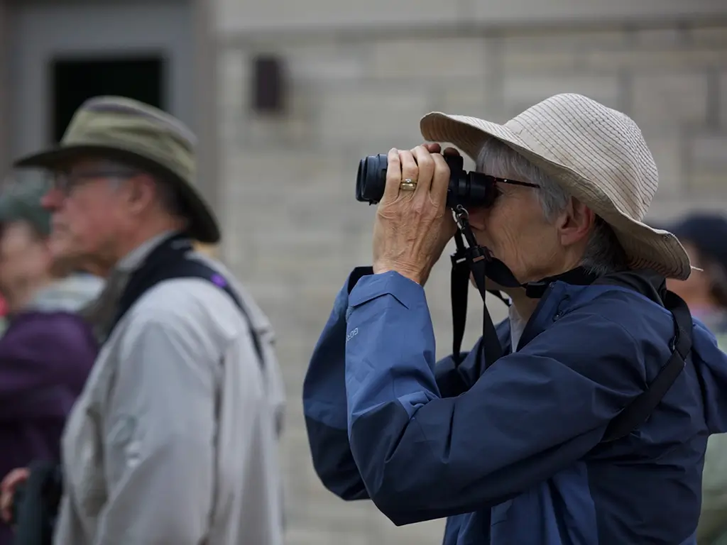 Birding Walk