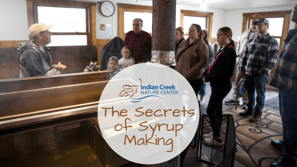 The Secrets of Syrup Making